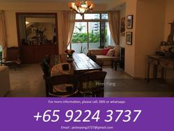 Elizabeth Heights (D9), Condominium #127942082